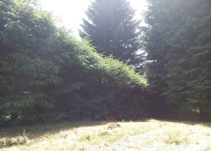 Du * Saint-Remy-sur-Durolle